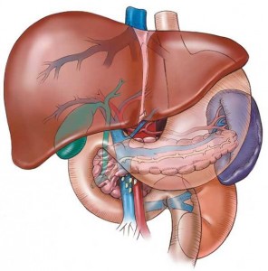 hepatit a