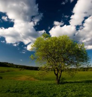 Manzara Duvar Fotoğrafları