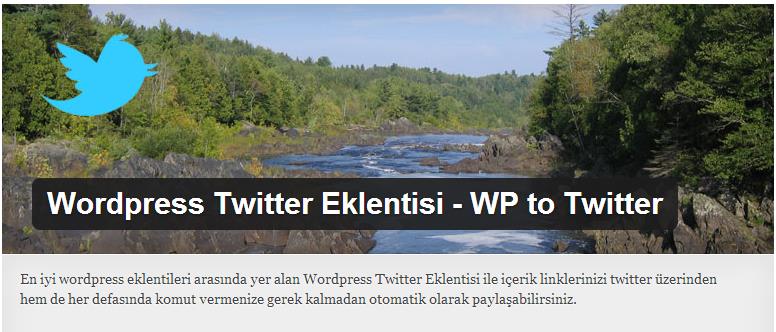 Wordpress Twitter Eklentisi